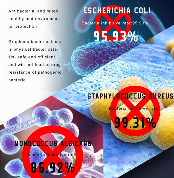 Graphene Fast Heat Thermal Tested Higer Than Down Antistatic Antibacterial